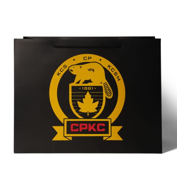Wholesale Custom Printed Brand Logo Design Promotion Luxury Clothing Retail Gift Shopping Black shopping Paper Bag With Handle - 图片 2