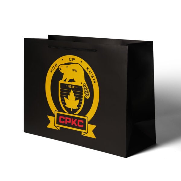 Wholesale Custom Printed Brand Logo Design Promotion Luxury Clothing Retail Gift Shopping Black shopping Paper Bag With Handle - 图片 3