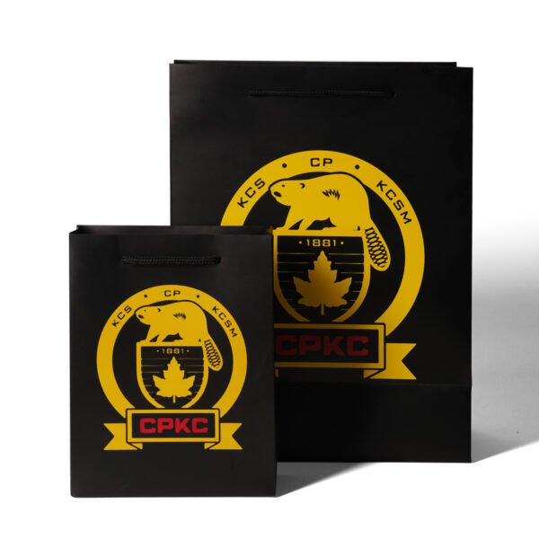 Wholesale Custom Printed Brand Logo Design Promotion Luxury Clothing Retail Gift Shopping Black shopping Paper Bag With Handle