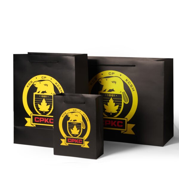 Wholesale Custom Printed Brand Logo Design Promotion Luxury Clothing Retail Gift Shopping Black shopping Paper Bag With Handle - 图片 6