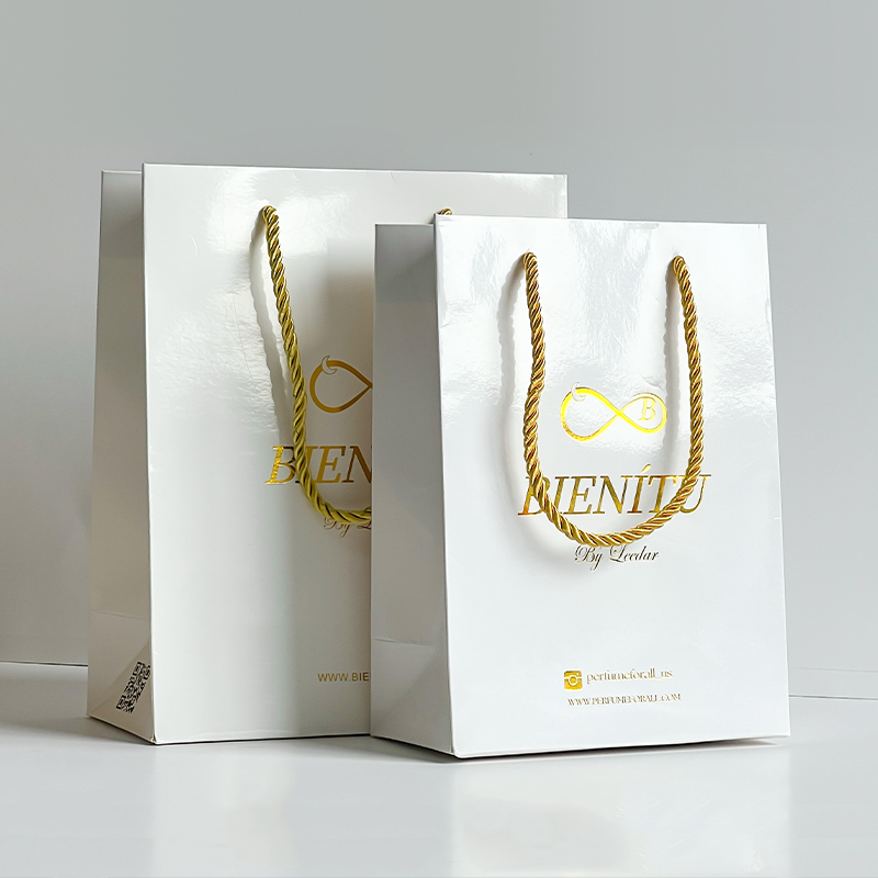 Luxury Paper Shopping Bag Packaging