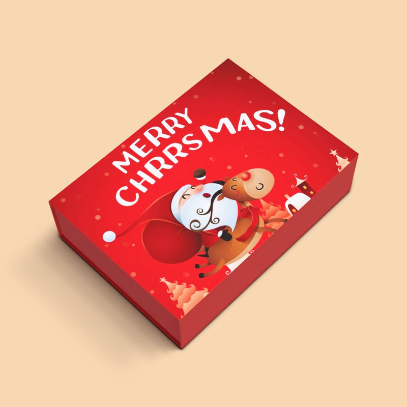 Book-Type Box Packaging