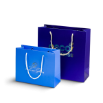 Custom Blue & Purple Glossy Paper Shopping Bags